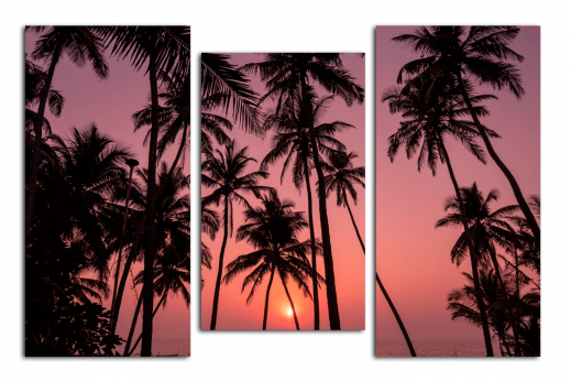 Модульная картина Пальмы на фоне заката
